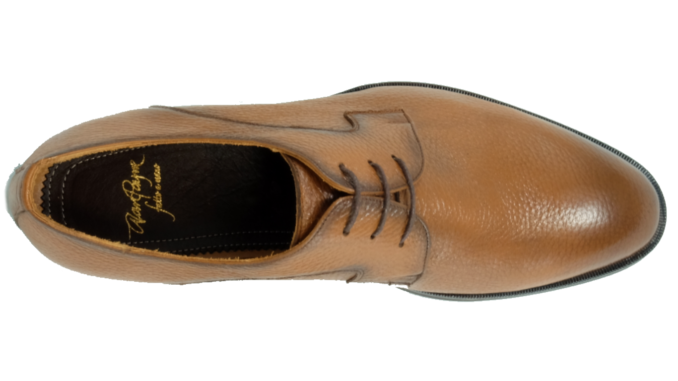 L O U I E | whiskey – Alan Payne Footwear display picture 1